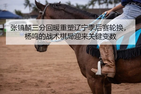 张镇麟三分回暖重塑辽宁季后赛轮换，杨鸣的战术棋局迎来关键变数
